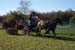 DSCF0559_1