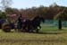 DSCF0585