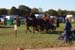 DSCF0599