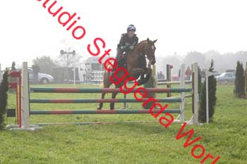 IMG_4921